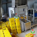 Équipement de désinfection des déchets infectieux Biohazard